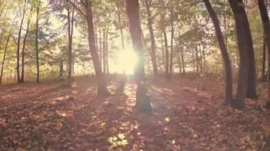 Sonbahar güzel renkli ormanda yürümek.
