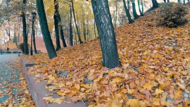 Gomel Bělorusko Října 2018 Žluté Listí Podzimním Parku — Stock video