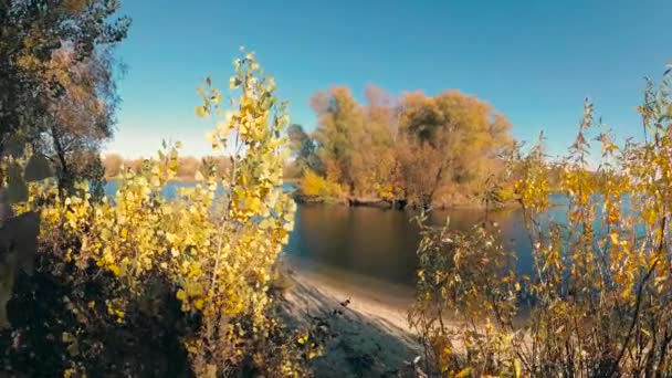 Adolescente Entra Para Deportes Equipo Deportivo Naturaleza — Vídeo de stock