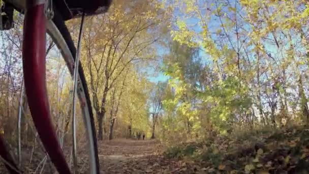 Feuillage Jaune Dans Vent Contre Ciel Bleu — Video