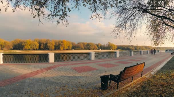 Листя Падають Дерева Міському Парку Гомель Білорусь — стокове відео