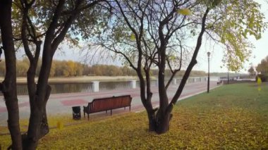 Şehir Parkı ağaçlarda yaprak düşer. Gomel, Beyaz Rusya.