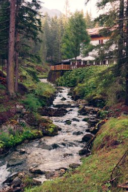ormandaki nehir dağ. güzel bir yer