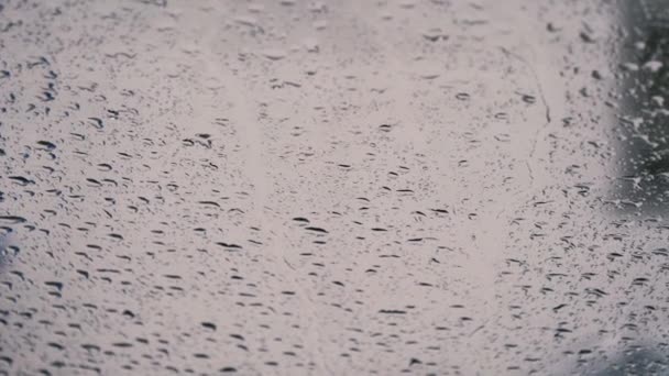 Het regende regendruppels reduceren het glas. — Stockvideo