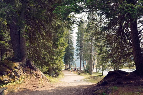 Auronzo Cadore Ιταλία Αυγούστου 2018 Misurina Mountain Lake Όμορφο Τουριστικό — Φωτογραφία Αρχείου