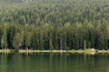 Auronzo di Cadore, İtalya. Misurina dağ Lake Forest