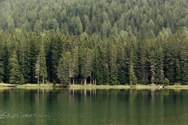 Auronzo di Cadore, İtalya. Misurina dağ Lake Forest