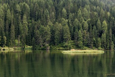 Auronzo di Cadore, İtalya. Misurina dağ Lake Forest