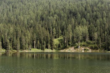 Auronzo di Cadore, İtalya. Misurina dağ Lake Forest