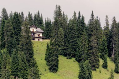 Auronzo di Cadore, İtalya, 9 Ağustos 2018 Misurina Dağı Gölü. Evleri ve kafeleri olan güzel bir turistik yer.