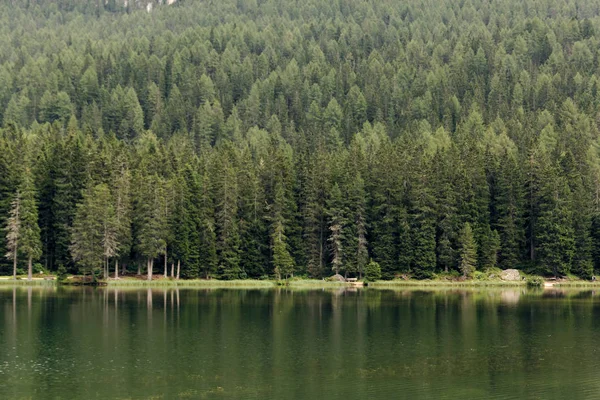 Auronzo di Cadore, İtalya. Misurina dağ Lake Forest