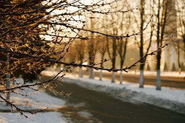 sokakta park kışın güneşli