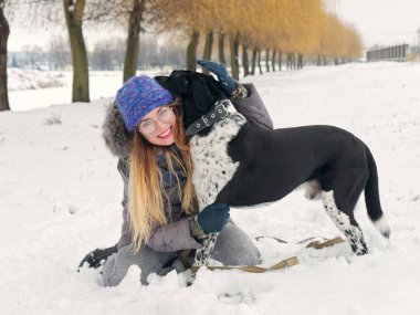 Güzel kız bir köpek karda sarılma