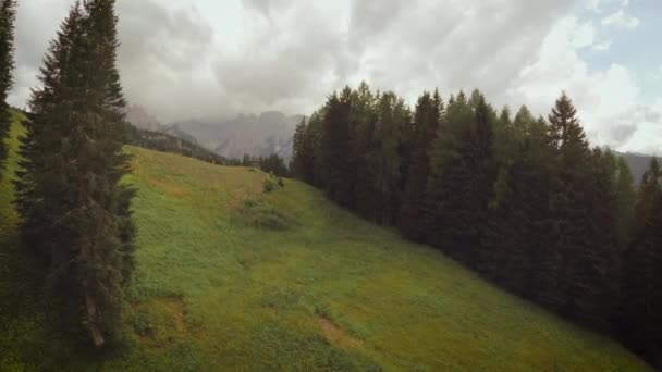 意大利卡多尔奥龙佐 夏季的山地提升 — 图库视频影像