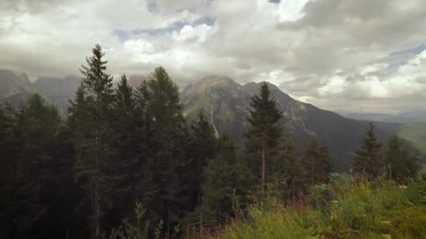 Ауро Кадоре Италия Подъем Горы Летом — стоковое видео