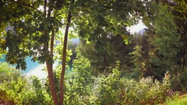 Auronzo di Cadore, İtalya güzel manzaralar dağ gölü tarafından.
