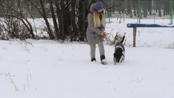 Krásná Veselá Dívka Venčení Psa Ukazatel Sněhu — Stock video