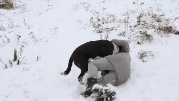 Krásná Veselá Dívka Venčení Psa Ukazatel Sněhu — Stock video