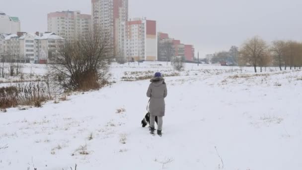 Bella Ragazza Allegra Che Porta Spasso Cane Indicatore Nella Neve — Video Stock