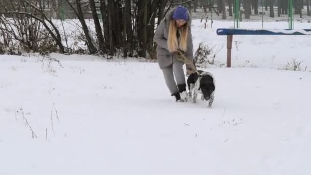 Hermosa Chica Alegre Paseando Perro Puntero Nieve — Vídeos de Stock