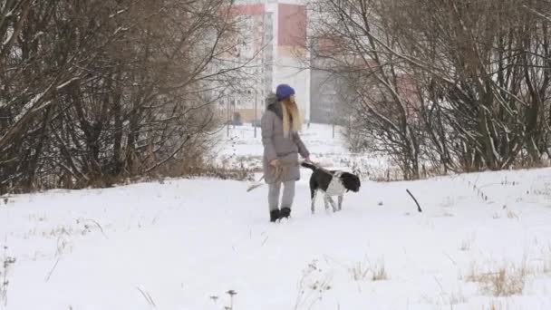 雪の中でのポインター犬の散歩陽気な美少女 — ストック動画