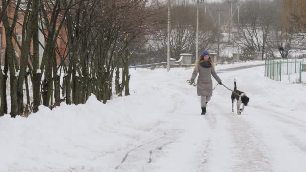 Krásná Veselá Dívka Venčení Psa Ukazatel Sněhu — Stock video