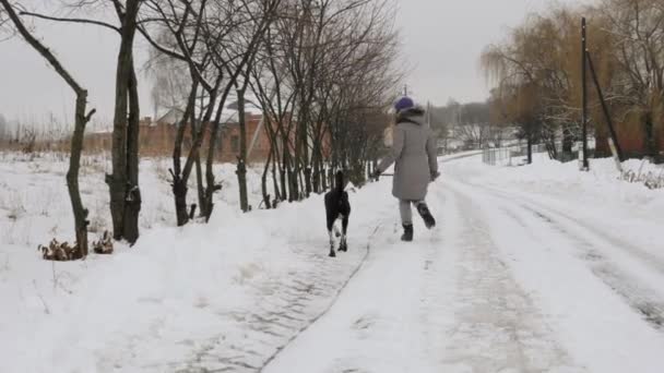 Vakker Lystig Jente Som Går Tur Med Hunden Pointer Snøen – stockvideo