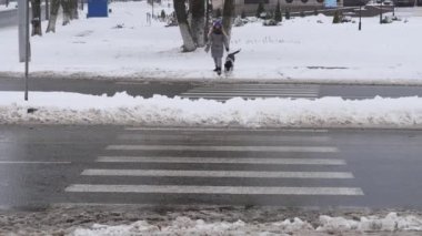 Güzel neşeli kız köpek işaretçi karda yürüyüş.