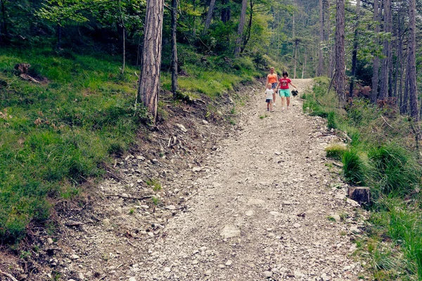 İnsanların dağlara yürüyerek seyahat.