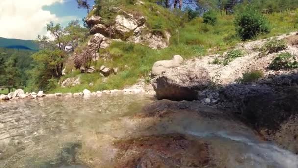 Ruisseau Montagne Sur Les Pierres Dans Nature — Video