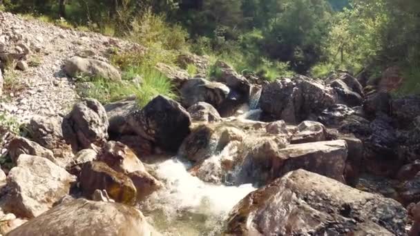 Fluxo Montanha Sobre Pedras Natureza — Vídeo de Stock