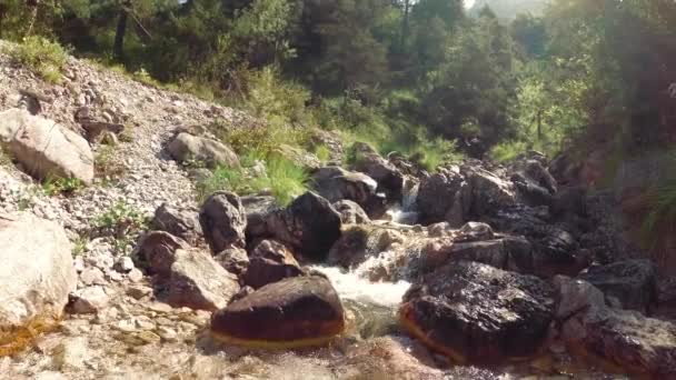 Fluxo Montanha Sobre Pedras Natureza — Vídeo de Stock