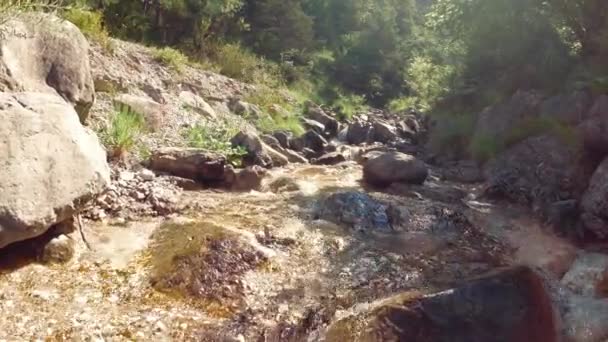 Fluxo Montanha Sobre Pedras Natureza — Vídeo de Stock