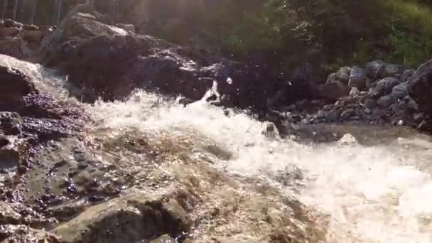 Arroyo Montaña Sobre Las Piedras Naturaleza — Vídeo de stock