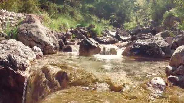 Горный Поток Камнях Природе — стоковое видео
