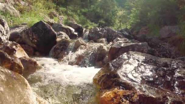 Bergbach Auf Den Steinen Der Natur — Stockvideo