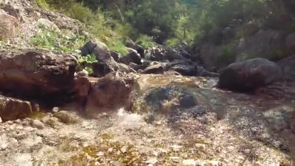 Horský Potok Kameny Přírodě — Stock video