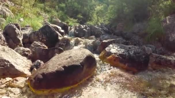 Bergbach Auf Den Steinen Der Natur — Stockvideo