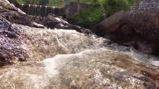 Ruisseau Montagne Sur Les Pierres Dans Nature — Video