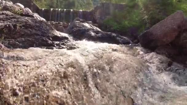 Bergbach Auf Den Steinen Der Natur — Stockvideo