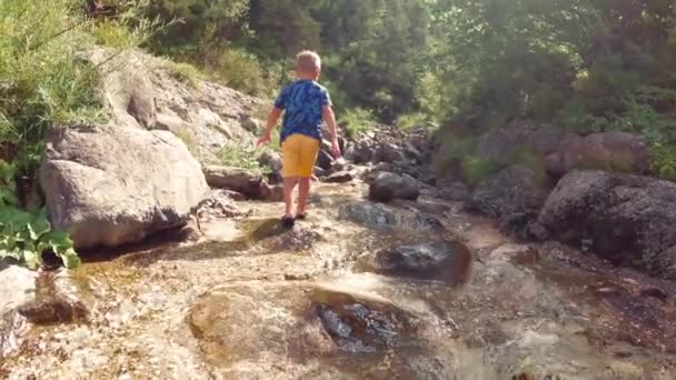 Enfant Est Assis Près Ruisseau Sur Les Rochers Dans Nature — Video