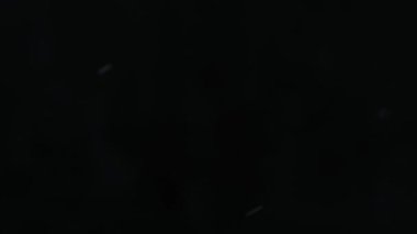 siyah bir zemin üzerine düşen kar kar kar fırtınası.