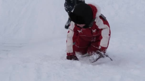 ホメリ ベラルーシ 2019 冬の楽しみ 子供は雪の丘から — ストック動画