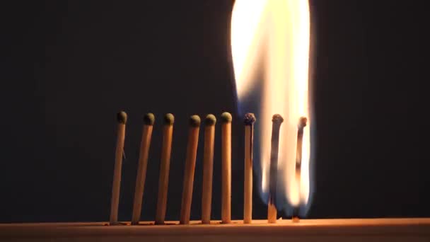 Matches Sulfur Burn Red Flame Dark Background — Stock Video