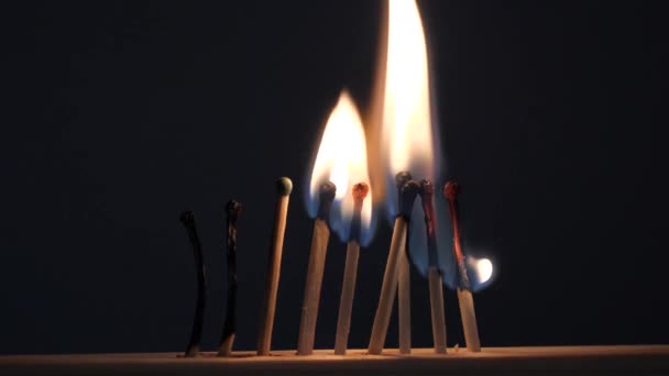 Matches Sulfur Burn Red Flame Dark Background — Stock Video