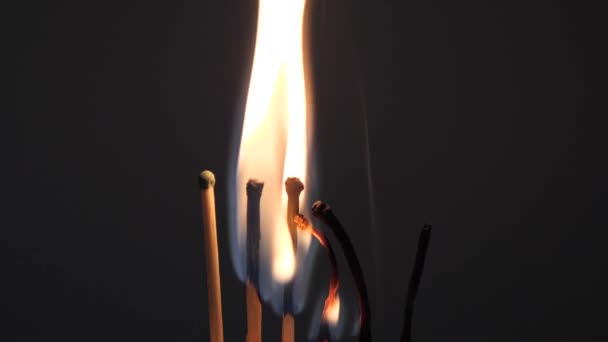 Matches Sulfur Burn Red Flame Dark Background — Stock Video