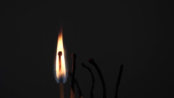 在黑暗的背景上将硫磺燃烧与红色火焰相匹配 — 图库视频影像