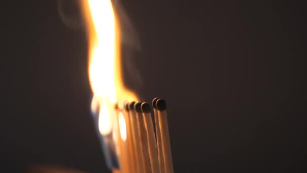 Fiammiferi di zolfo bruciano con una fiamma rossa su uno sfondo scuro — Video Stock