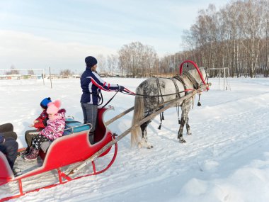 Gomel, Beyaz Rusya - 20 Ocak 2019: bir atlı kızak 5 kış insanlarla yolculuk