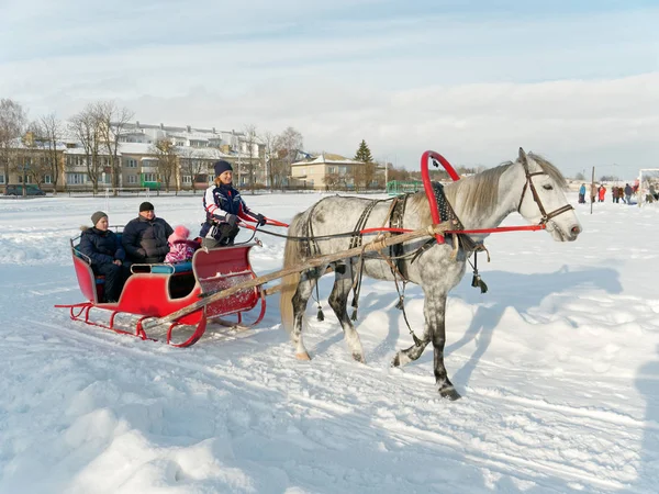 Gomel Belarus January 2019 People Ride Winter Horse Drawn Sleigh — стокове фото